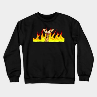 Crazy Chihuahua Crewneck Sweatshirt